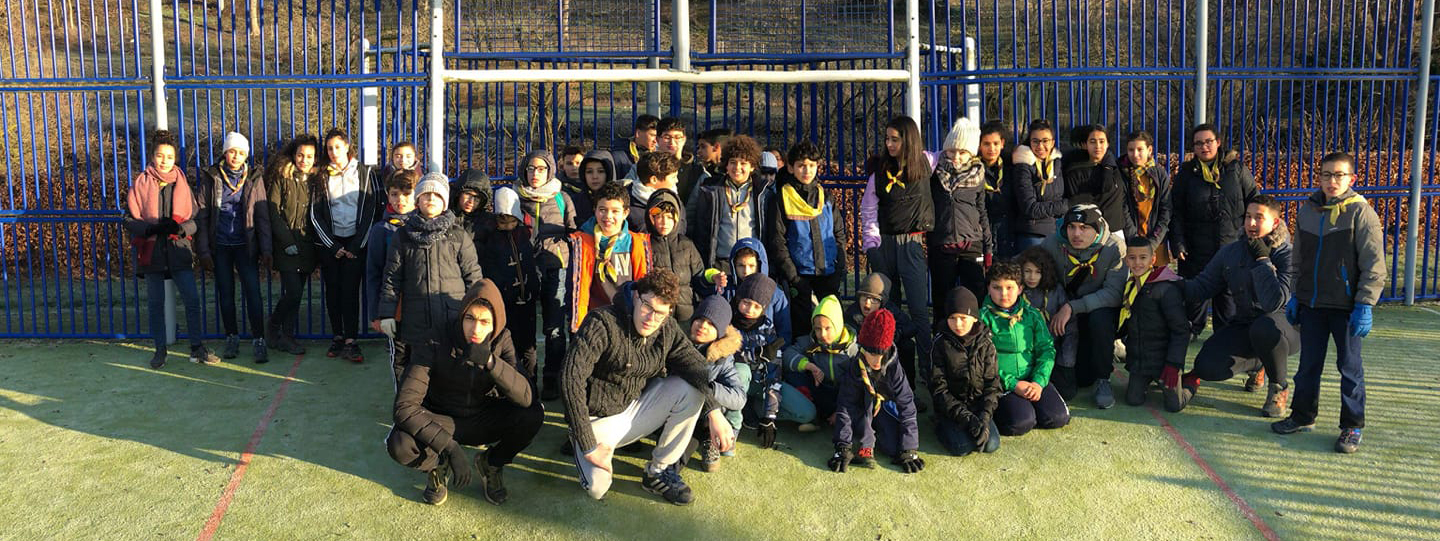 Les Abeilles en action