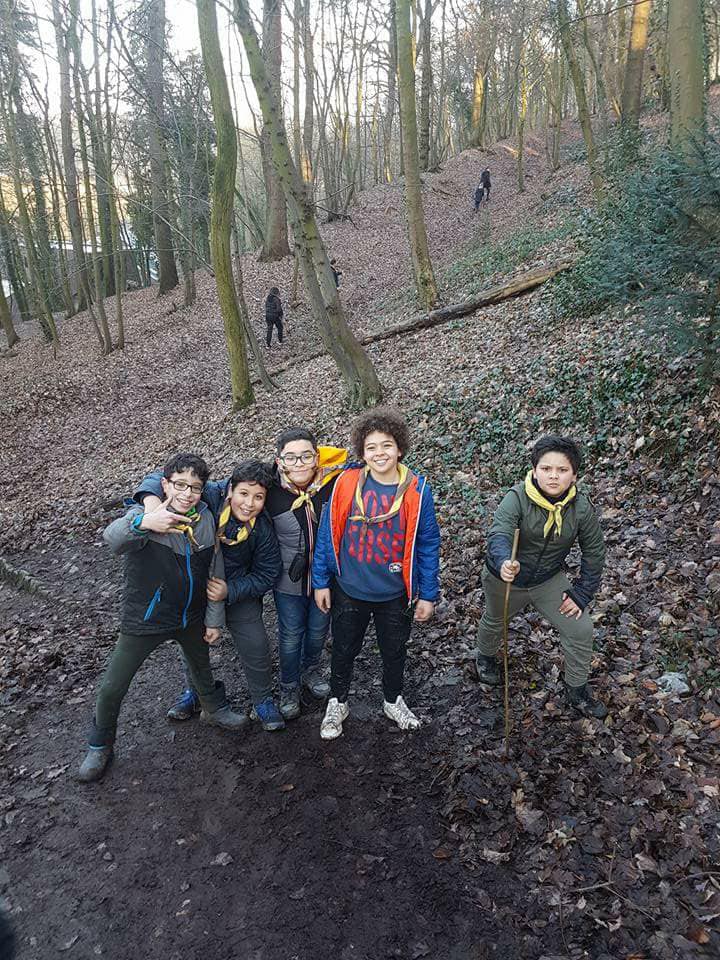 Scouts en for&ecirc;t