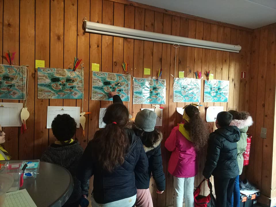 Activit&eacute; orientation et cartes